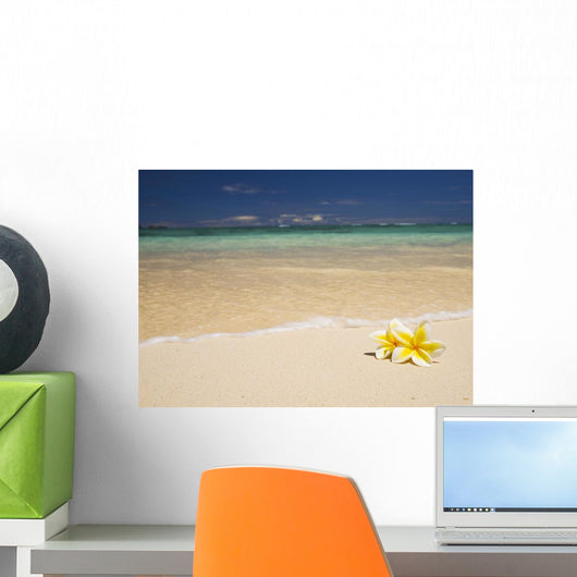 Two Plumerias Resting On The Sand Of A Gorgeous Tropical Beach Wall Mural