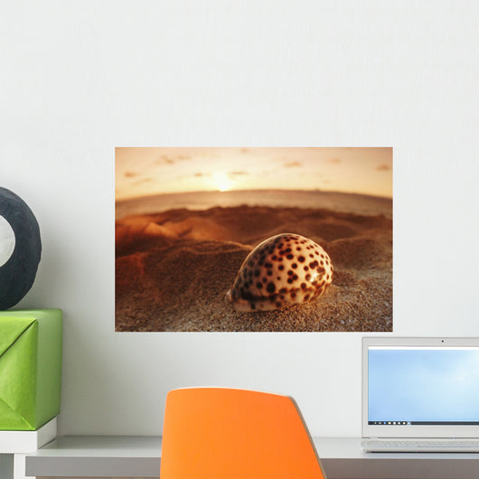 Spotted seashell laying in sand with sun setting behind It Wall Mural