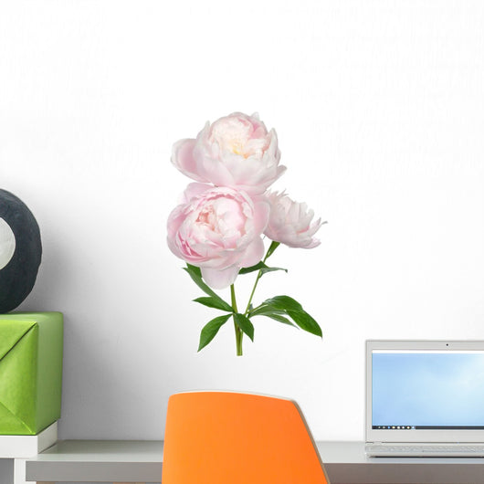 Light Pink Peony Flower Wall Decal