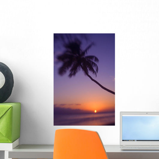 Hawaii, Maui, Olowalu, Palm Tree Over The Beach At Sunset Wall Mural