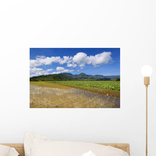 USA, Hawaii Islands, Kauai, Scenic mountains and blue sky Wall Mural