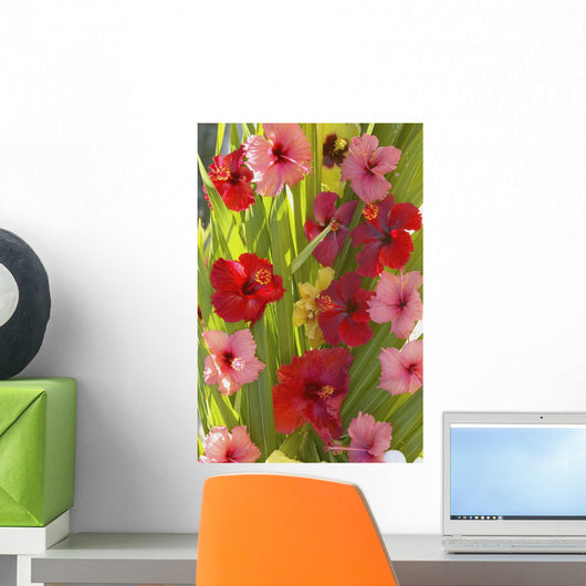 Red And Pink Hibiscus Poking Through Green Leafs Wall Mural