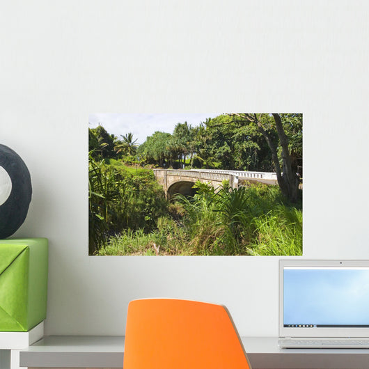 Old Bridge Wall Mural