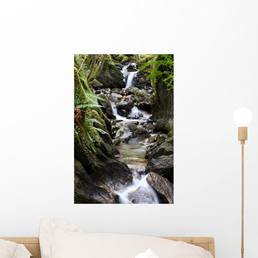 waterfall in fern gully Wall Mural