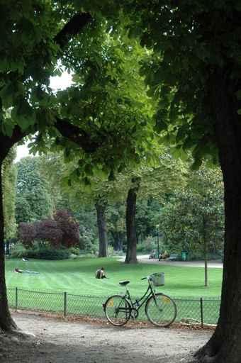 Le Parc Wall Decal