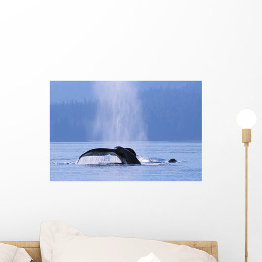 Fluke Of A Humpback Whale Wall Mural