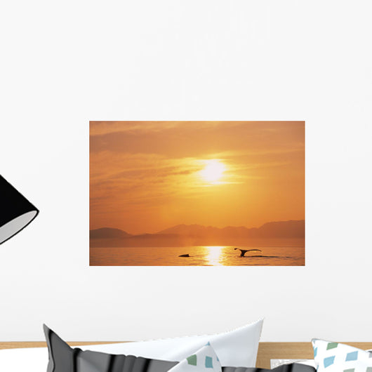 Fluke Of A Humpback Whale At Sunset Wall Mural