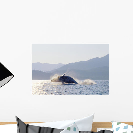 Humpback Whale Breaching Wall Mural