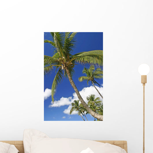 Hawaii, Maui, Kamaole Beach, Palm Trees Against Blue Sky And Clouds Wall Mural