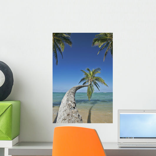 Hawaii, Oahu, Palm Trees Overhang The Ocean On A Clear Blue Day Wall Mural