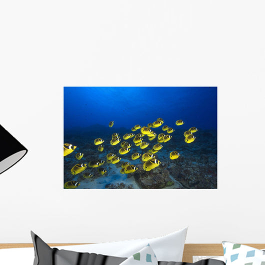 Hawaii, School Of Racoon Butterflyfish Along Reef Wall Mural