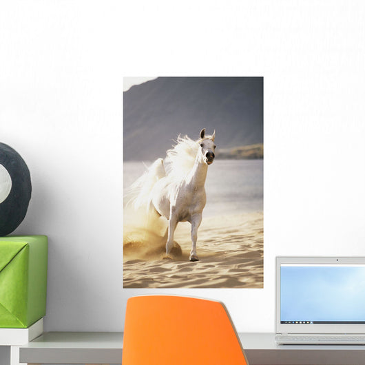 White Horse Galloping Toward Camera On Beach Wall Mural