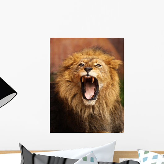 Grrr... Wall Mural