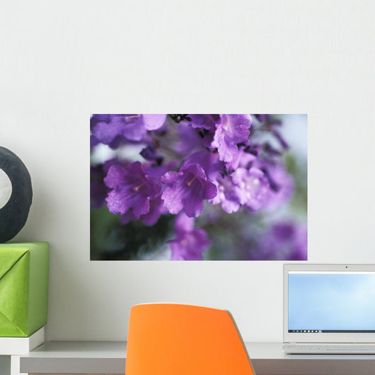 Jacaranda Fern Tree, Soft Focus, Purple Flowers Wall Mural