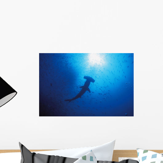 Silhouette Of Scalloped Hammerhead With School Of Fish Wall Mural