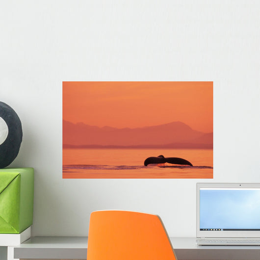 Fluke Of A Humpback Whale At Sunset Wall Mural