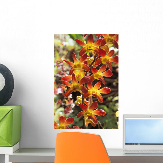 Close-Up Of Red And Yellow Dendrobium Orchids Wall Mural