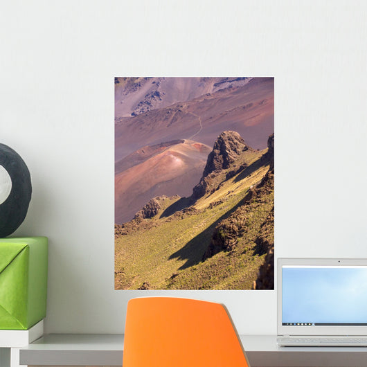 Hawaii, Maui, Haleakala Crater, Haleakala National Park Wall Mural