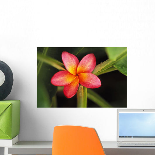 Pink Plumeria Flower Resting On Banana Plant Stems Wall Mural