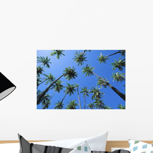 Hawaii, Molokai, Kapuaiwa Coconut Grove, Blue Skies Wall Mural