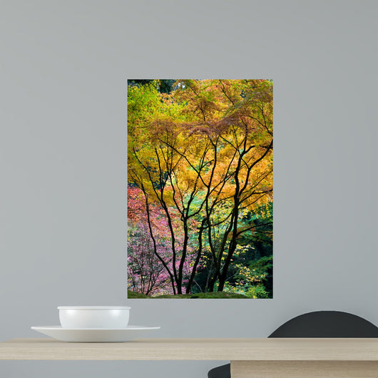 Autumn Trees