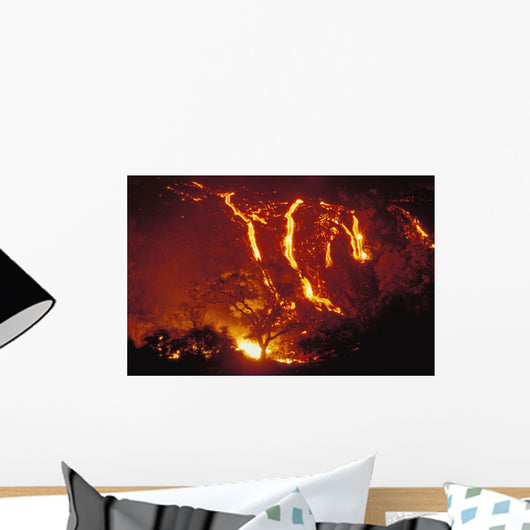 Lava Flows Into Forest Burning Trees Wall Mural