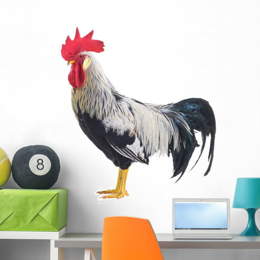 Rooster Wall Decal