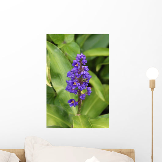 Close-Up Of Purple Cluster Of Flowers Wall Mural