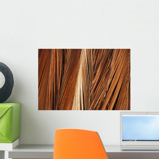 Close-Up Of Coconut Palm Fronds Wall Mural