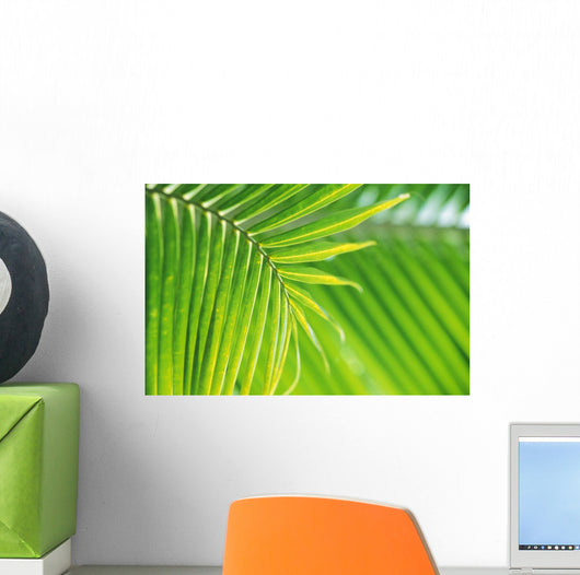 Thailand, Nong Bua Lumphu, Close-Up Of Palm Leaves Wall Mural