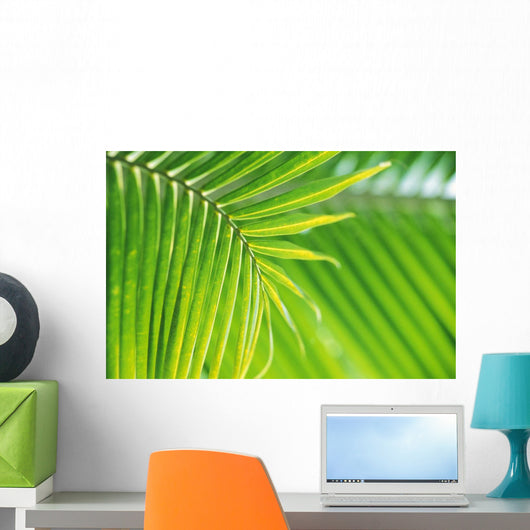 Thailand, Nong Bua Lumphu, Close-Up Of Palm Leaves Wall Mural