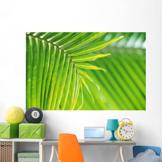 Thailand, Nong Bua Lumphu, Close-Up Of Palm Leaves Wall Mural