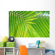 Thailand, Nong Bua Lumphu, Close-Up Of Palm Leaves Wall Mural