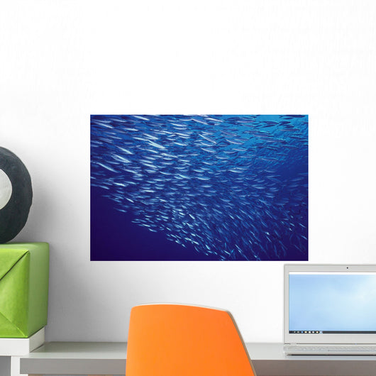 Hawaii, Mackerel Scad, Opelu Swims In Large School Wall Mural
