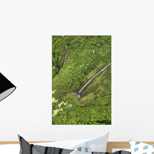 View From Above Wall Mural