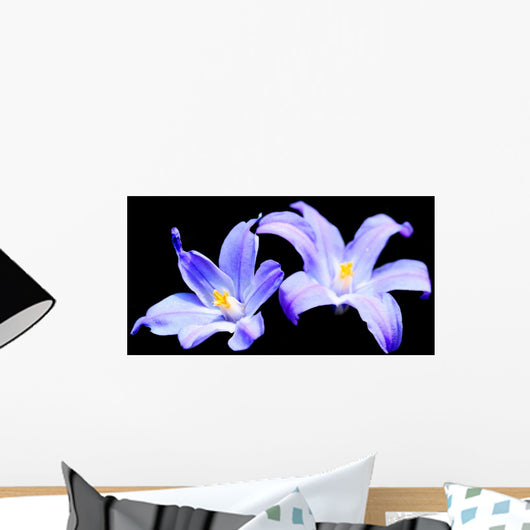 Spring Flowers