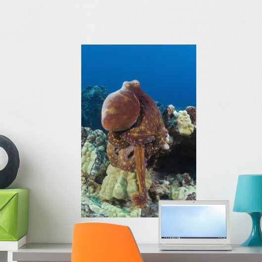 Hawaii, Octopus Cyanea Diguising Itself As A Part Of The Coral Reef Wall Mural