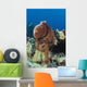 Hawaii, Octopus Cyanea Diguising Itself As A Part Of The Coral Reef Wall Mural