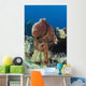 Hawaii, Octopus Cyanea Diguising Itself As A Part Of The Coral Reef Wall Mural