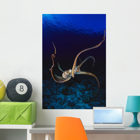Hawaii, Day Octopus Dark Blue Water, Near Ocean Floor Wall Mural