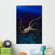 Hawaii, Day Octopus Dark Blue Water, Near Ocean Floor Wall Mural