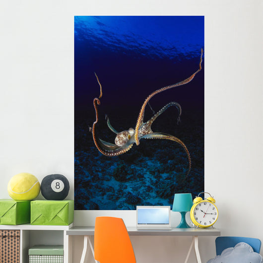 Hawaii, Day Octopus Dark Blue Water, Near Ocean Floor Wall Mural
