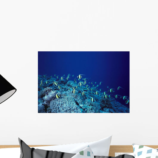 Blue Ocean Wall Mural