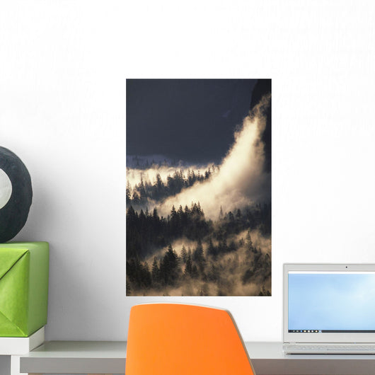 Ground Fog And Pine Trees In Yosemite Valley Wall Mural