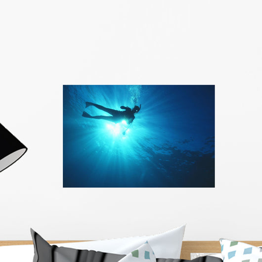 Silhouette Of Scuba Diver Near The Surface Above Mahi Wreck Wall Mural