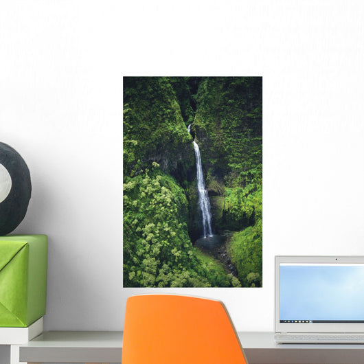 Hawaii, Kauai, Waterfall On The Interior Regions Of The Island Wall Mural