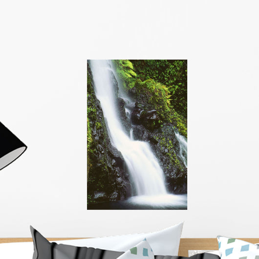 Hawaii, Maui, Foliage And Waterfall Along Hana Highway Wall Mural