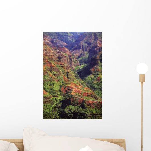 Aerial View Of The Grand Canyon Of The Pacific Wall Mural
