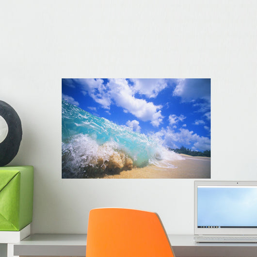 Closeup Action Of Shorebreak Ocean Wave Wall Mural