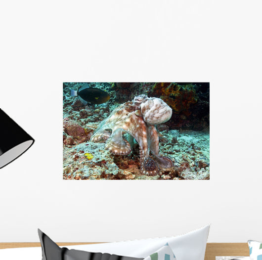 Malaysia, Octopus Cyanea Diguising Itself As A Part Of The Coral Reef Wall Mural
